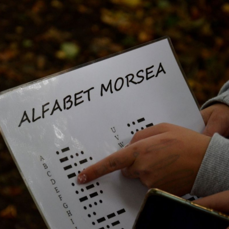 alfabet morsea