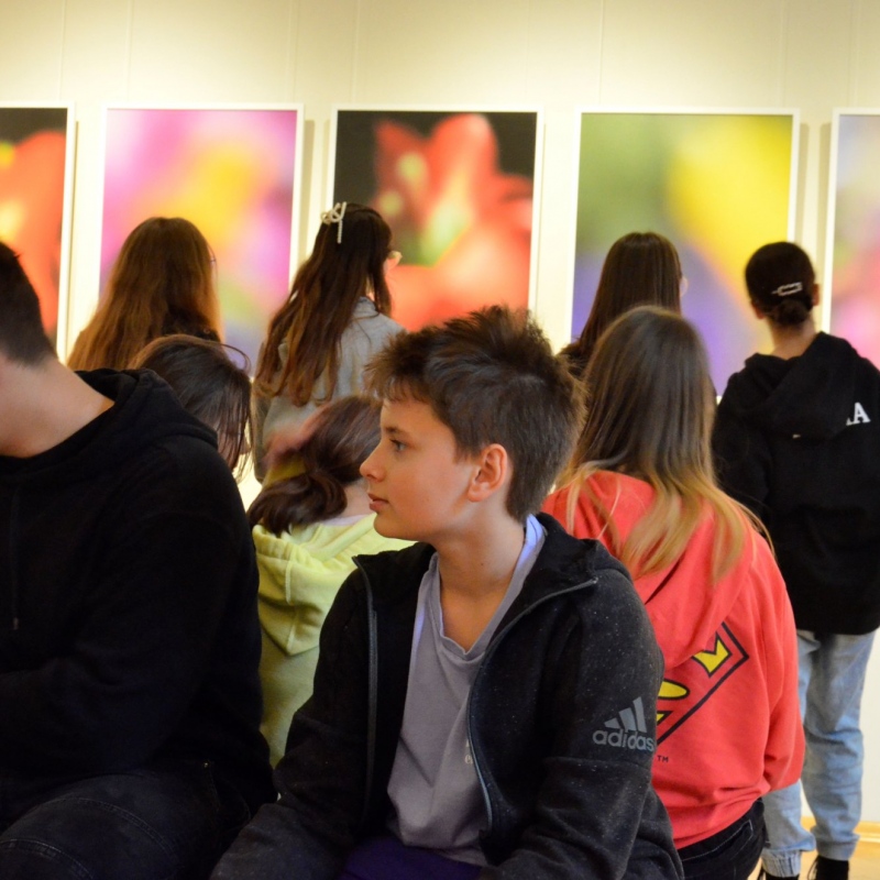 Kolorowy świat barw w jednej z sal wystawy X Foto Art