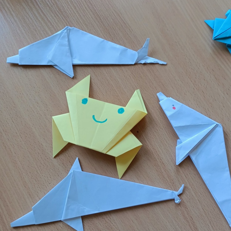 Origami- krab, żaba, delfin