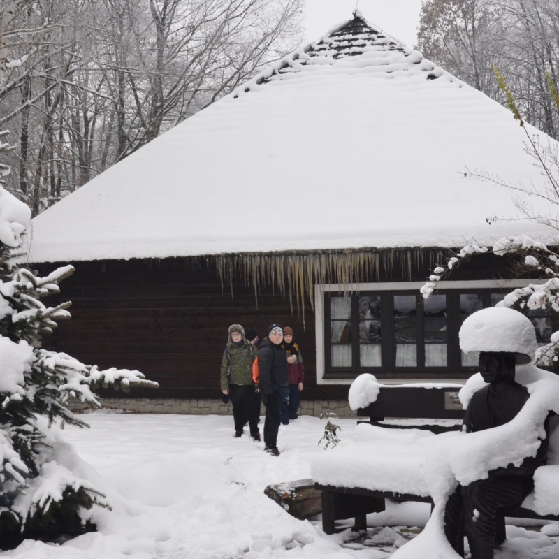 Skansen, zagroda wsi Pszczyńskiej