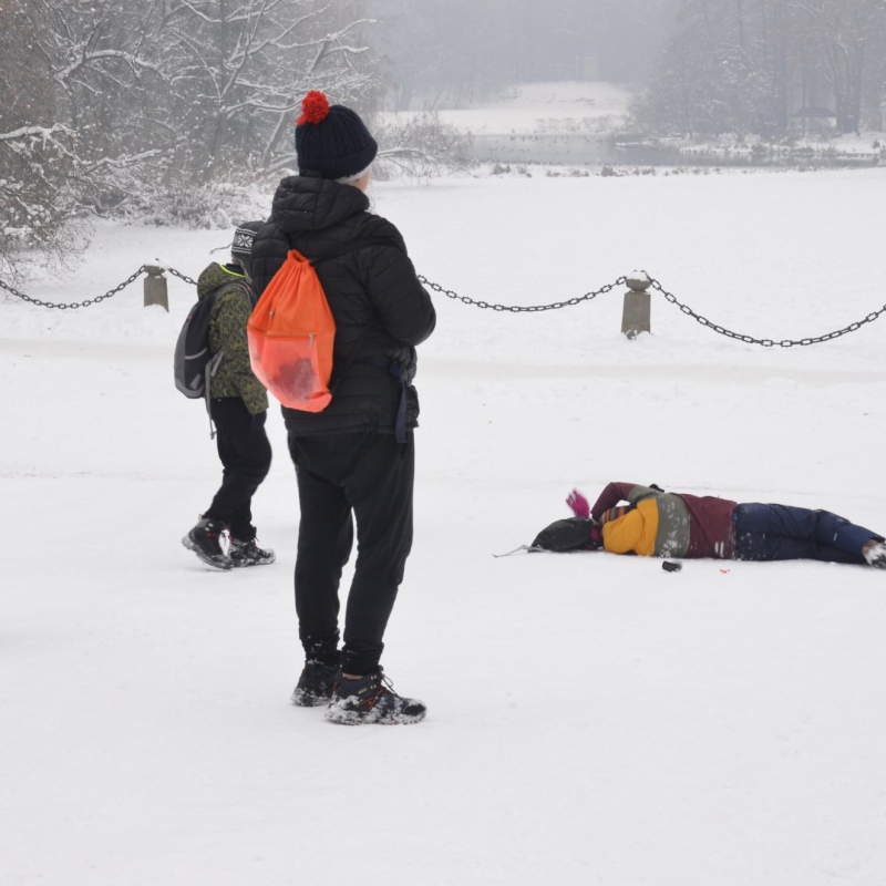 Zabawy śniegowe w parku zamkowym