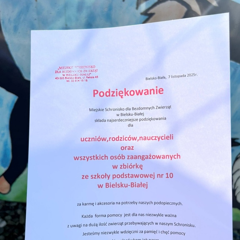 Oficjalne podziękowanie, które szkoła otrzymała od Miejskiego Schroniska dla Bezdomnych