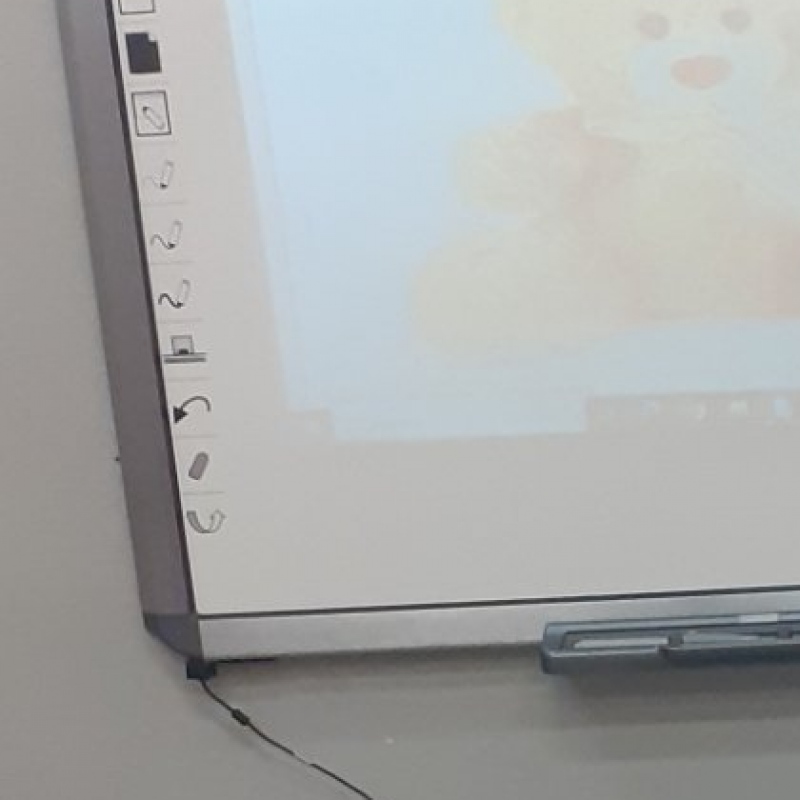 Dzień misia w zerówce