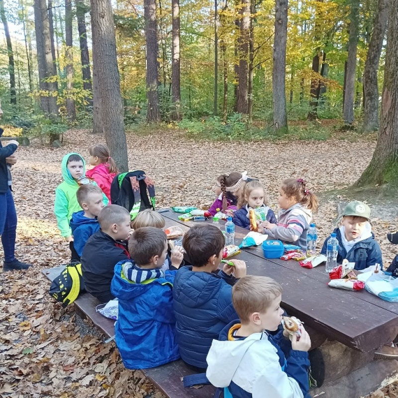 Uczniowie klas 1 jedzący posiłek podczas rajdu w lesie
