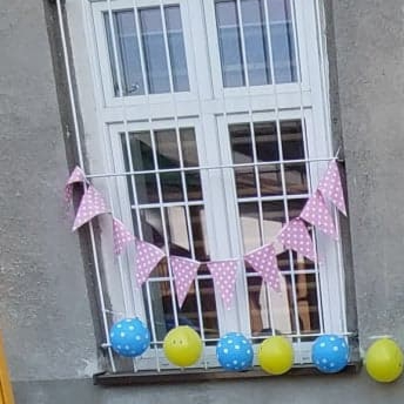zdjecie: